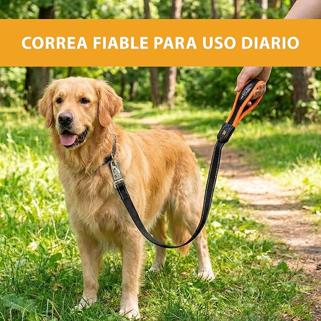 Foto 8 de 8 de Ferplast Correa para Perro ERGOFLUO Matic, para Perros Grandes, Innovador mosquetón con Mecanismo magnético
