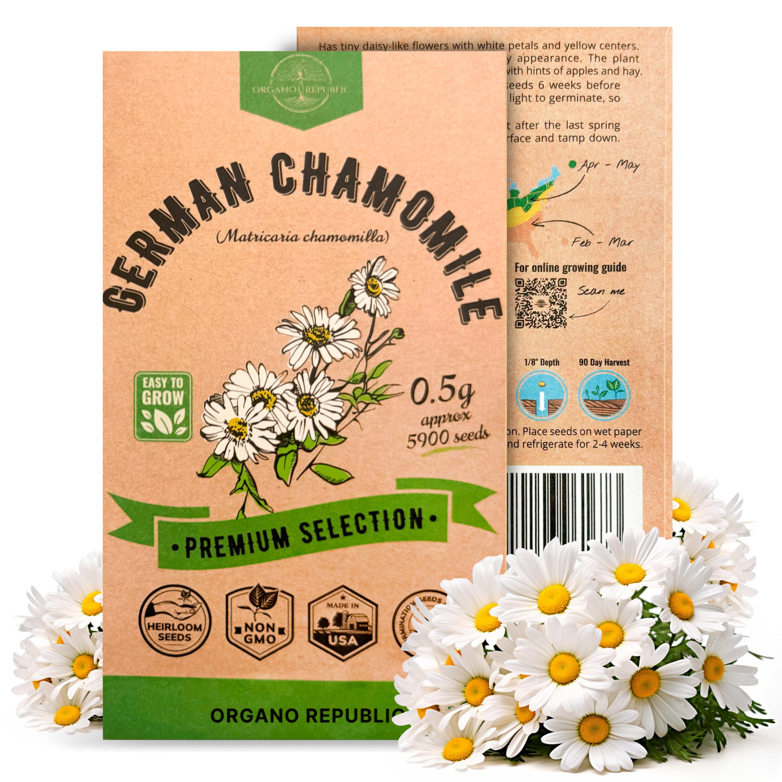 Chamomile - Mayweed Seeds main image 1