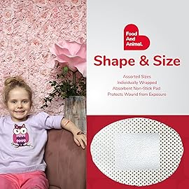 BioSwiss Bandages, Assorted Animal, Fun, and Food Shaped Self Adhesive Bandage Set, Latex Free, Sterile Wound Care, 100 Count