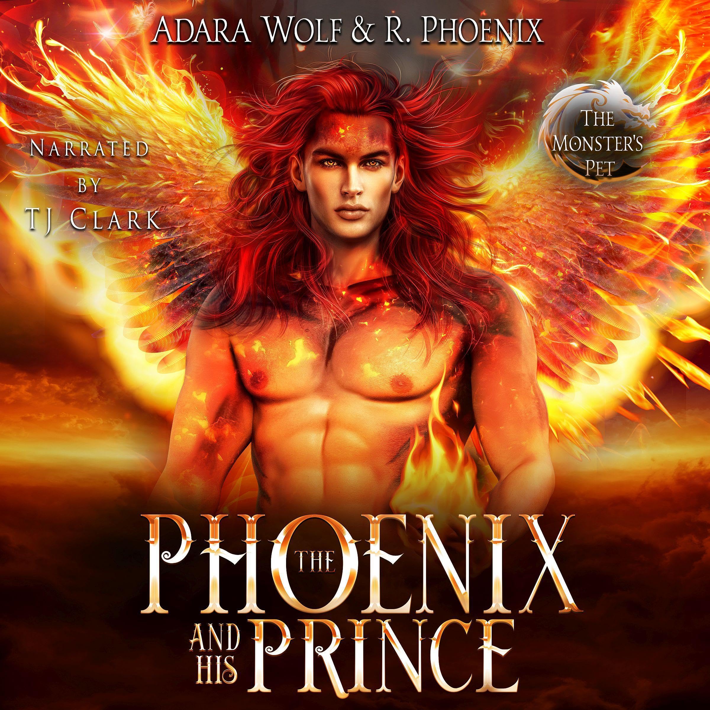 Cover art for The Phoenix and His Prince