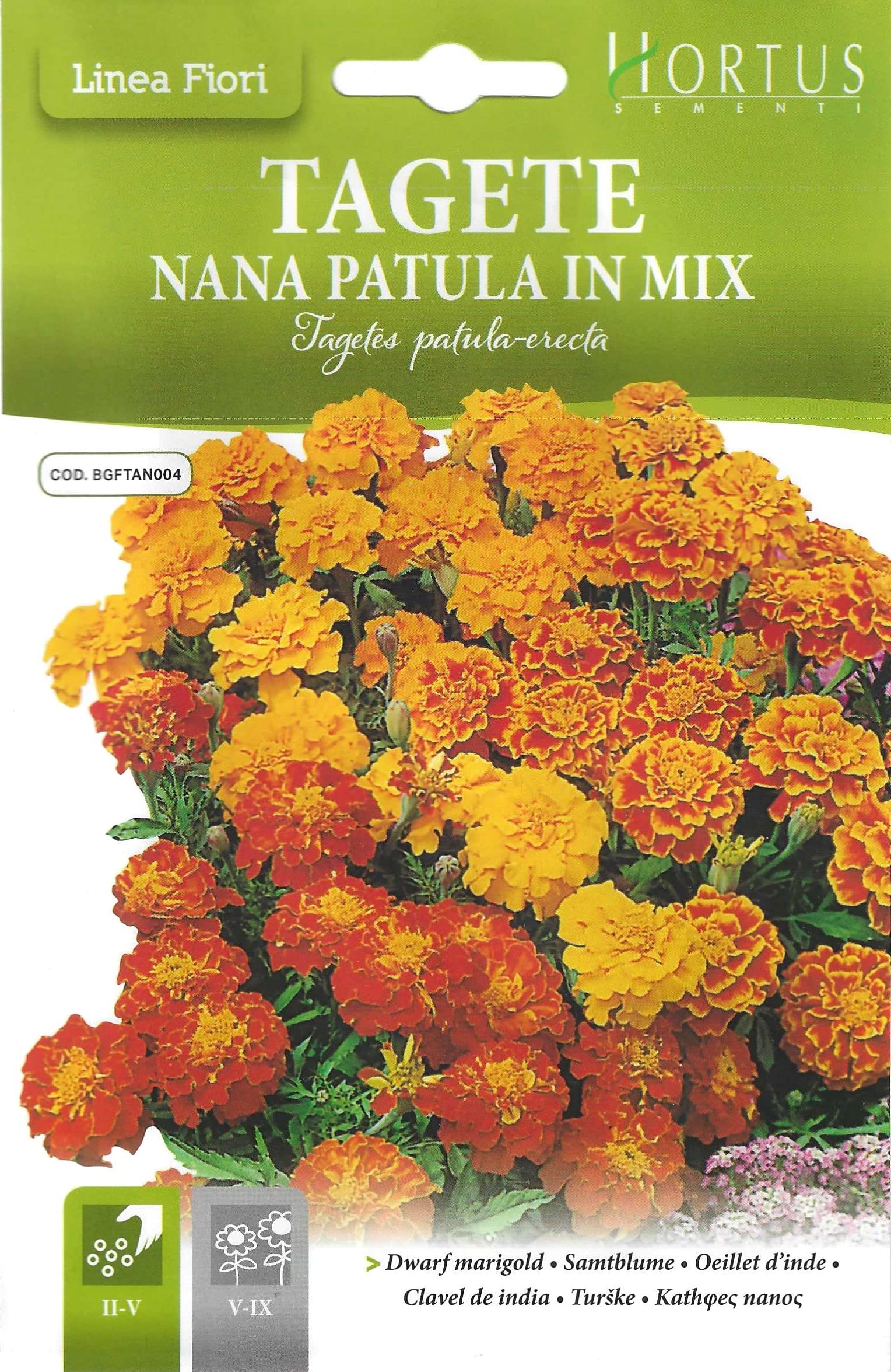 Dwarf Marigold Mix Premium Quality Seeds (Tagete Nana Patula in Mix) (Made in Italy) by Hortus Sementi