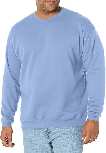 Hanes Mens Ecosmart Fleece Sweatshirt