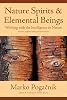 Nature Spirits & Elemental Beings: Working with the Intelligence in Nature Paperback – Illustrated, 1 Feb. 2010