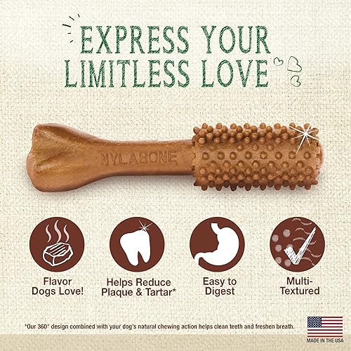 Miniatura 5 de Nylabone Nutri Dent Dog Dental Chews - Limpieza natural de dientes de perro y ambientador de aliento - Golosinas dentales para perros - Sabor Filet