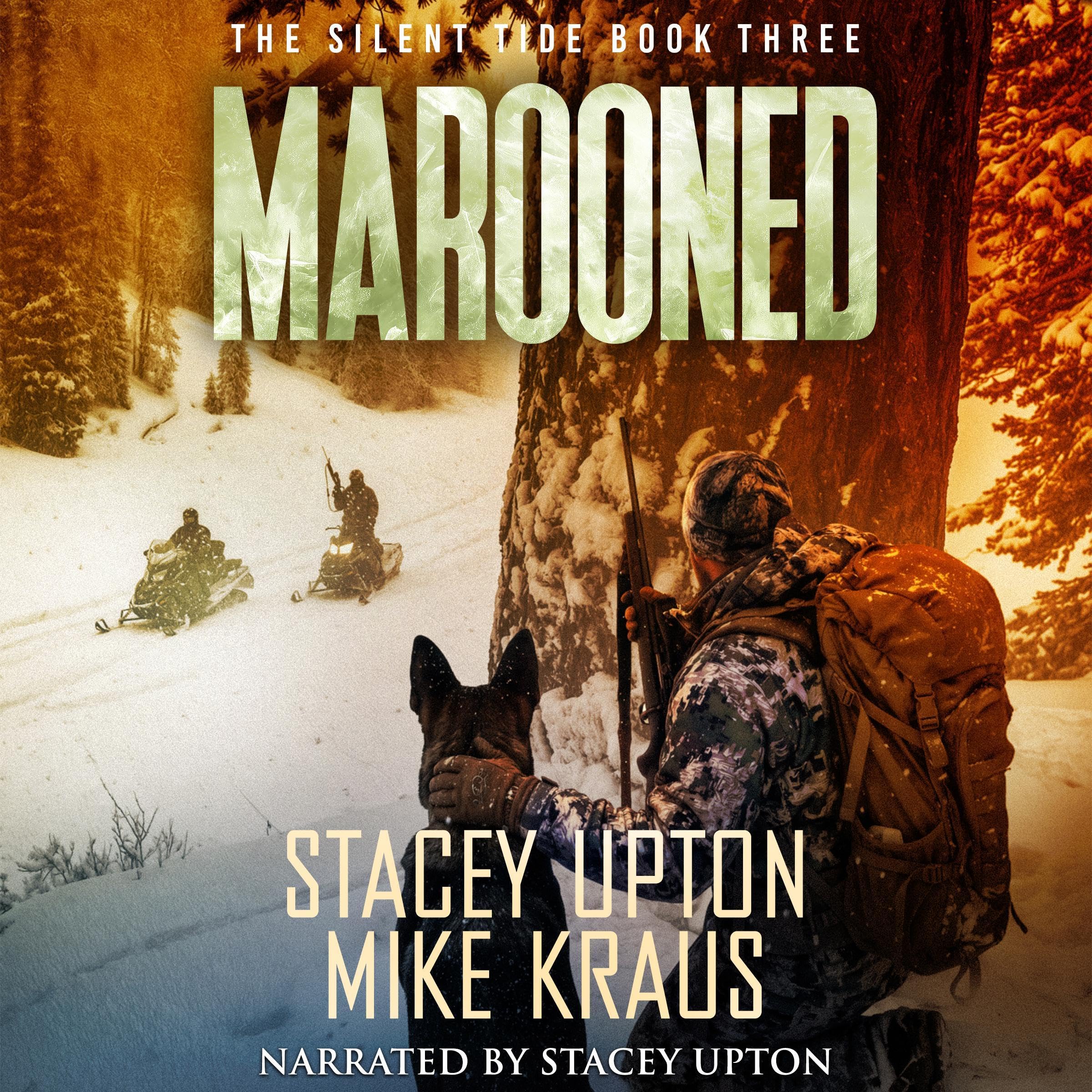 Cover art for Marooned