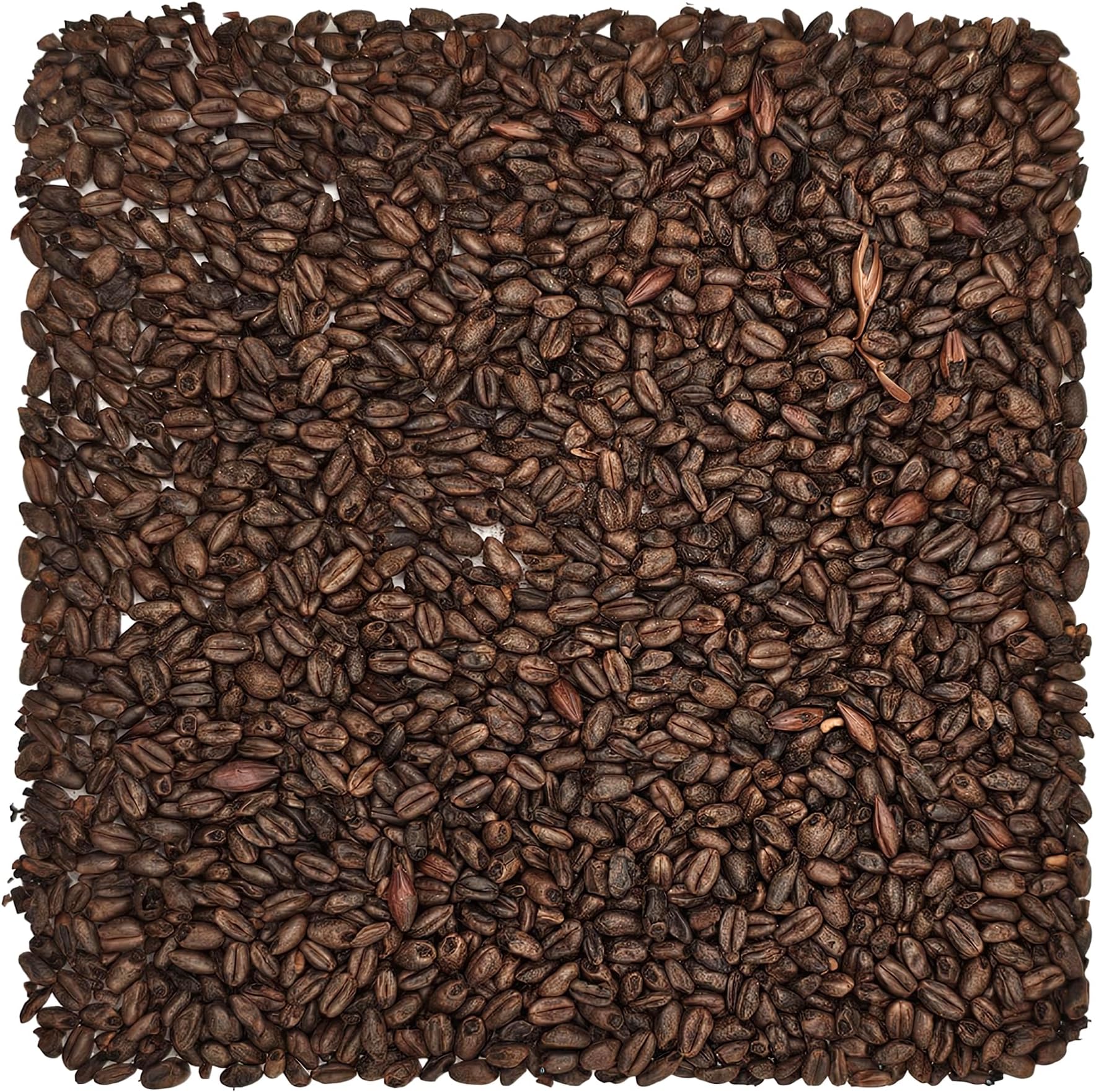 Briess BJ-5U8M-8RRM Chocolate Malt 1 lb., Brown