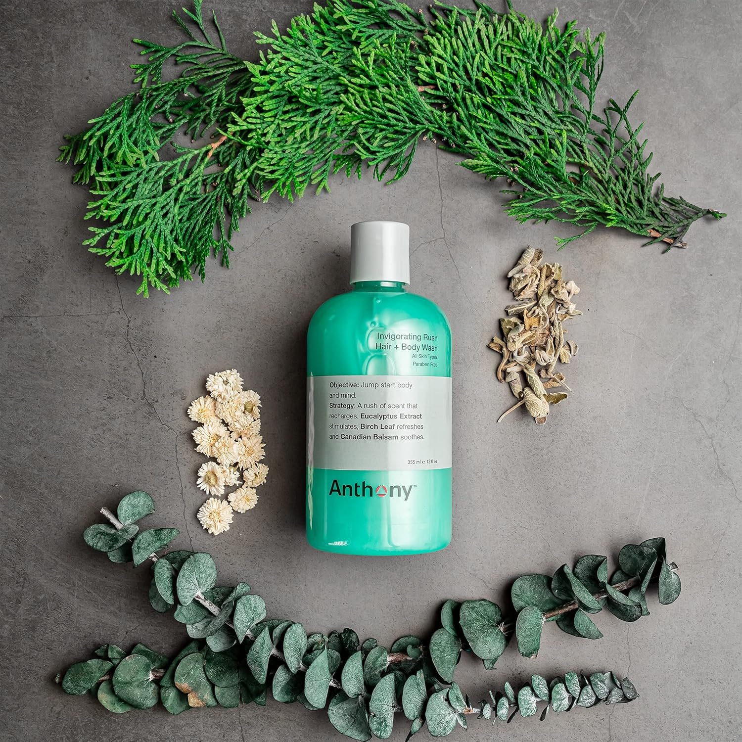 Anthony Mens Body Wash and Shampoo: Invigorating Rush 2-In-1 Liquid Gel Soap & Hair Shampoo, Pine Wood Scent, Hydrating with Eucalyptus, Canadian Balsam, Birch Leaf, Charcoal, Sea Kelp, 12 Fl. Oz - Image 3