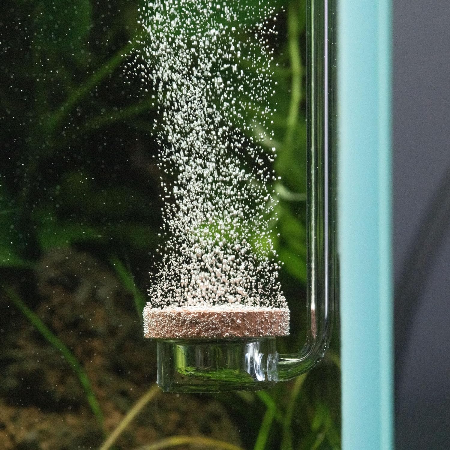 Neo CO2 Aquarium Diffuser - CO2 Diffuser Aquarium Kit, Fine Mist Oxygen for Fish Tank, CO2 Diffuser for Aquarium Plants, CO2 System for Aquarium - Curved Special Diffuser, Large