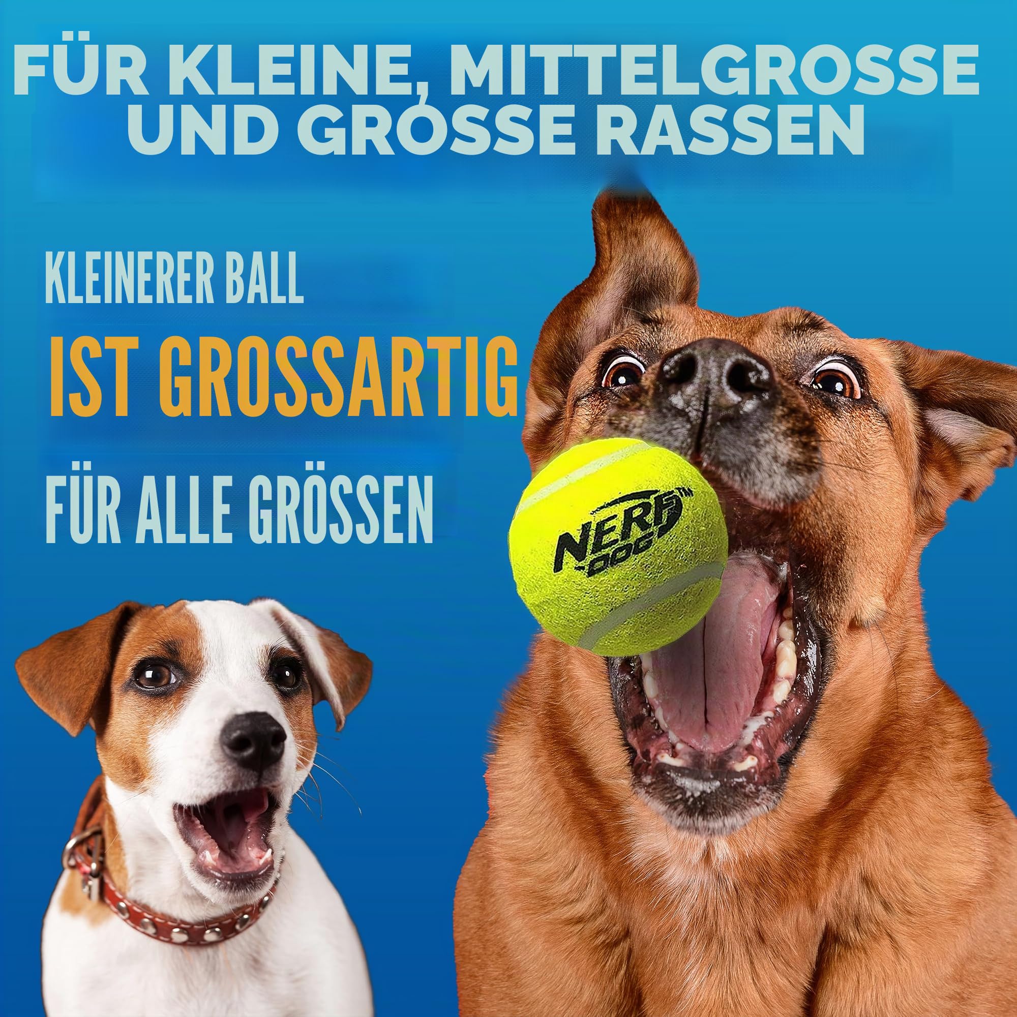 Nerf Dog Tennisball Blaster Hundespielzeug Geschenkset, Tennisball Hund Apportierspielzeug startet bis zu 50 Fuß, Hundeballwerfer für alle Rassen, inklusive durchscheinendem blauem Tennisballwerfer