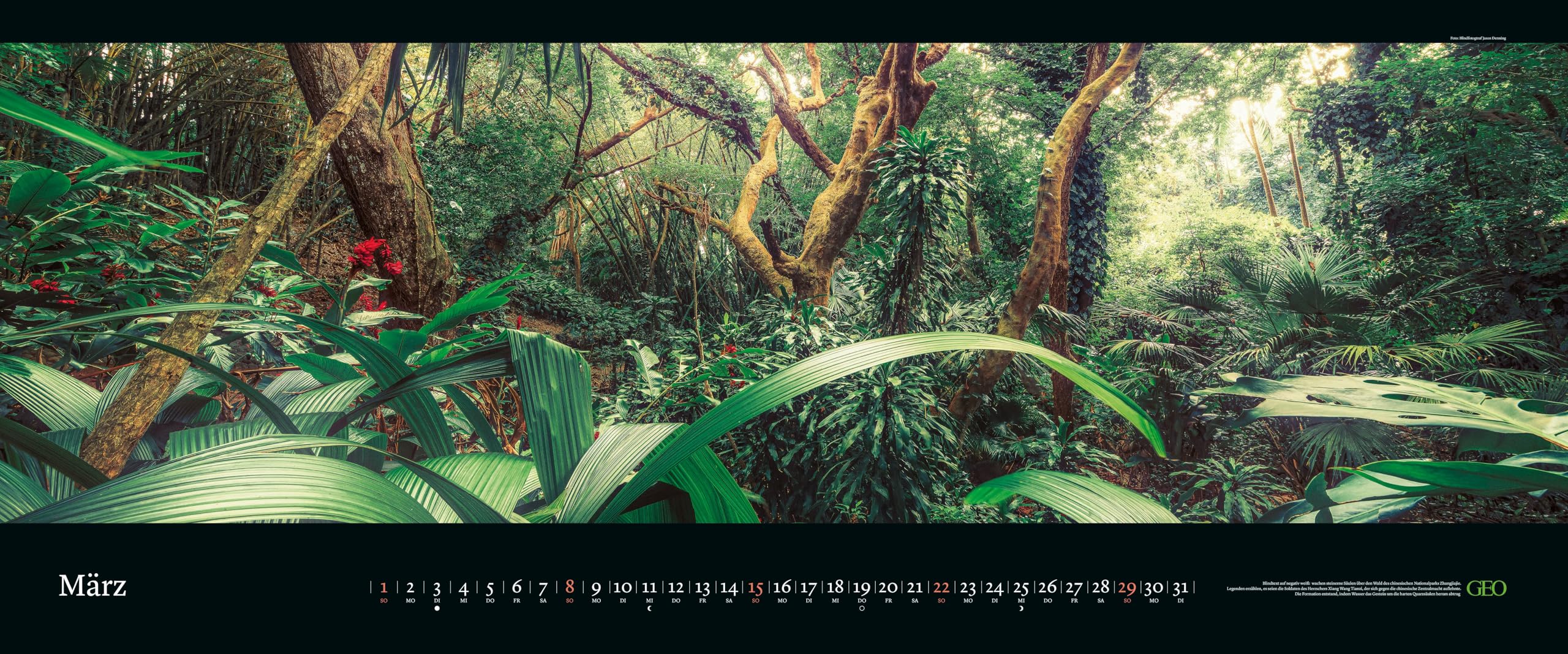 GEO - GEO Panorama: Die schönsten Gärten 2026 – XXL Wandkalender 120x50 cm, Panorama-Kalender mit Gartenfotografie, 12 Monatsblätter & Spiralbindung für Natur- und Gartenliebhaber