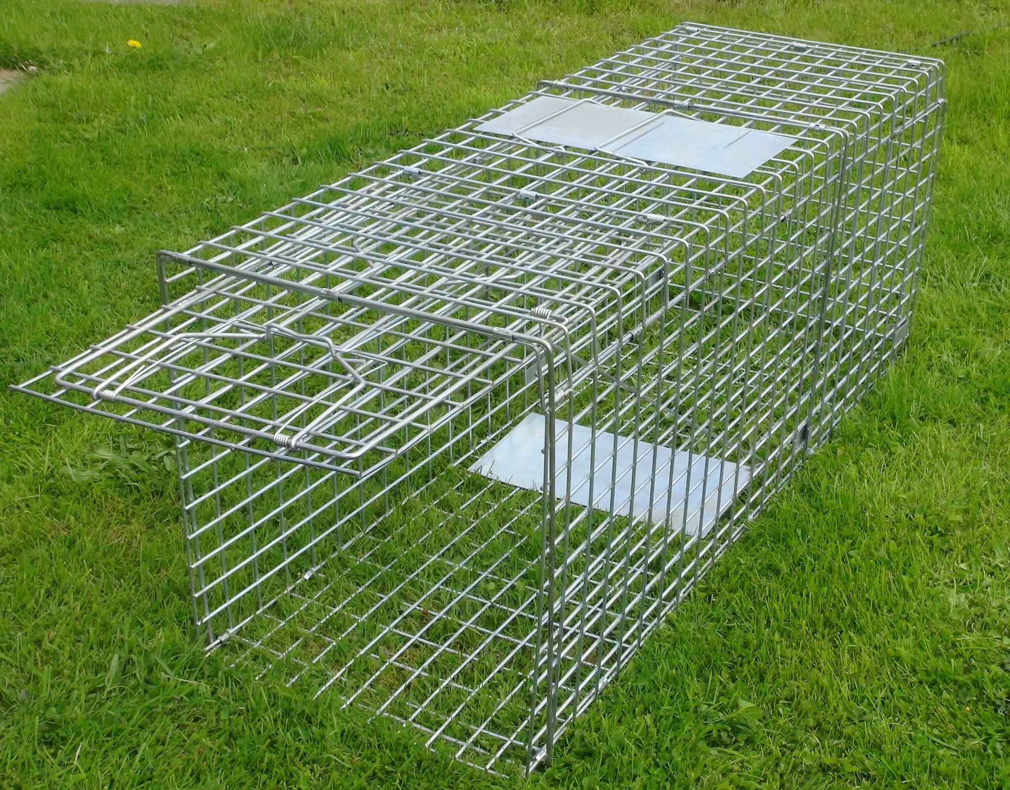 57" X-LARGE FOLDING FOX TRAP, HUMANE FOX TRAP, PEST CONTROL