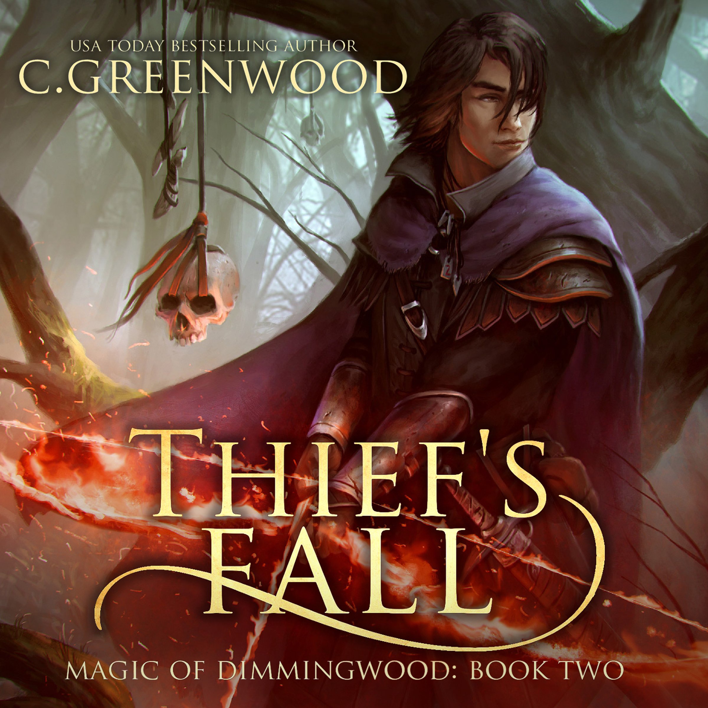 Cover art for Thief's Fall