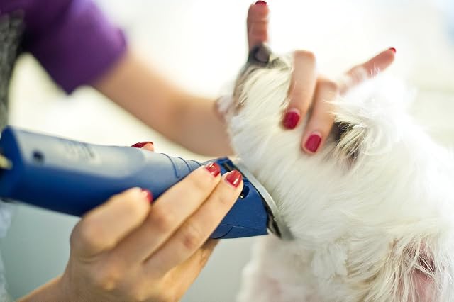 Foto 8 de 8 de Andis Agc Super Maquinilla Profesional 2-Velocidades para Animales