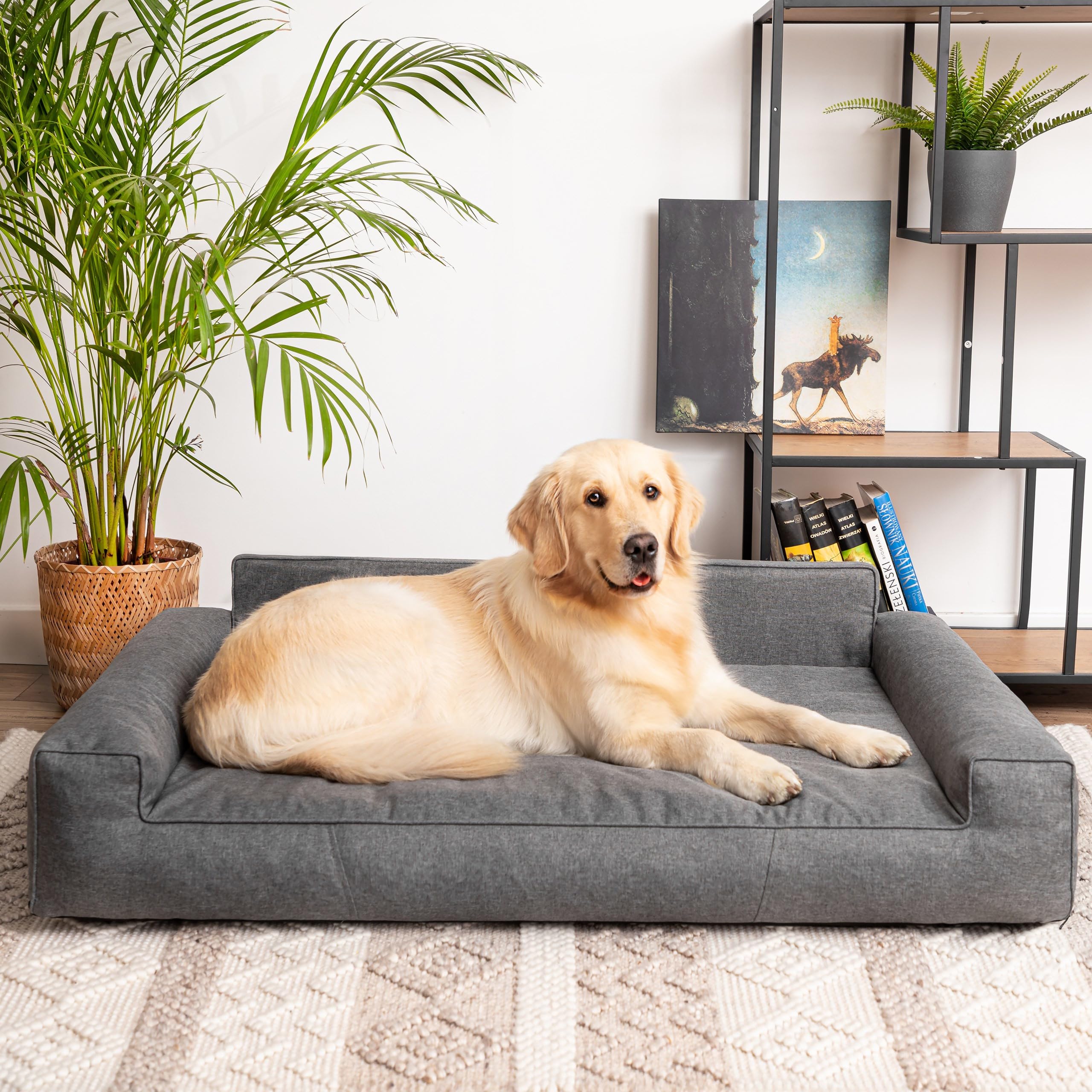 PillowPrim Hundebett, Haustiermatratze, Katzenbett, Hundekissen, Hundekorb, Hundesofa, Liegeplatz für Hund, Orthopädische, Asche, 55 cm, Anthrazite, 78x53 cm