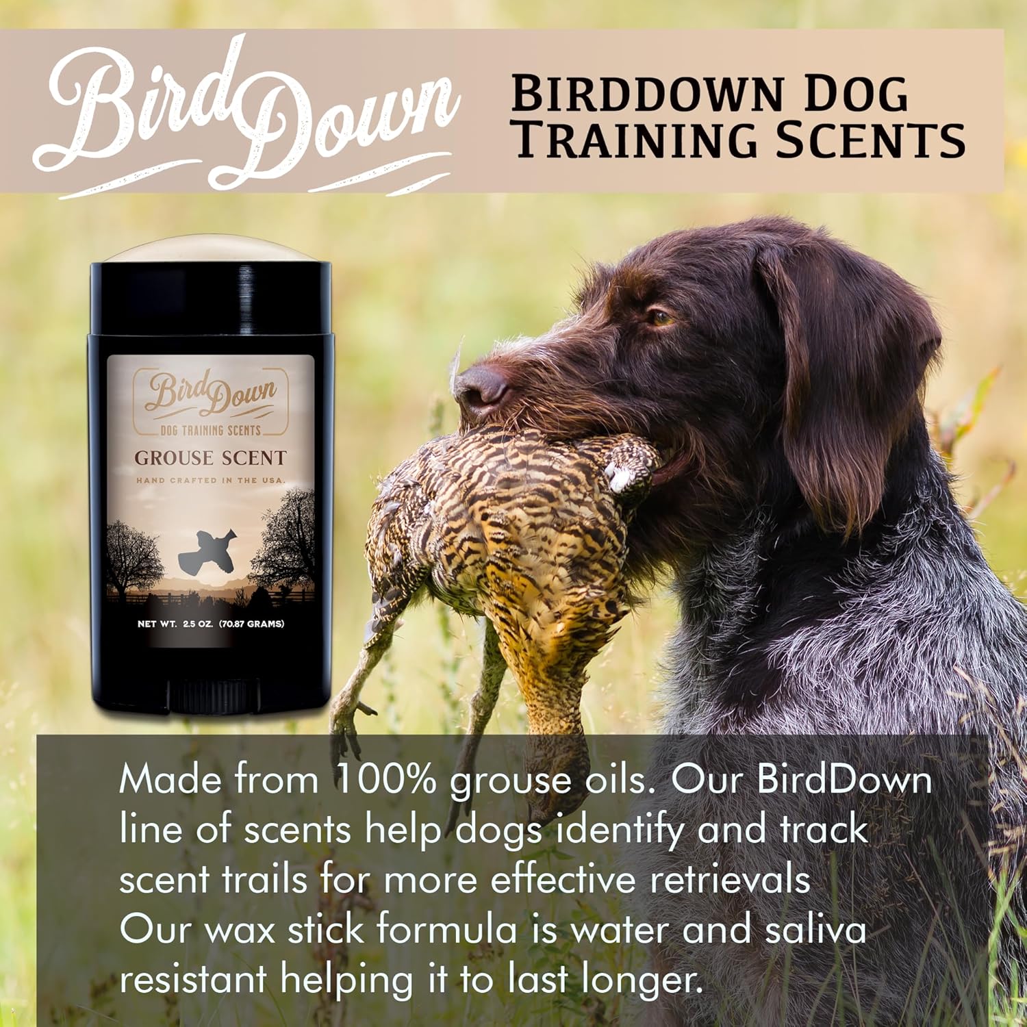Conquest Scents BirdDown Scent Stick – Dog Training Scent Wax for Pheasant, Duck, Quail & Grouse, 2.5 oz