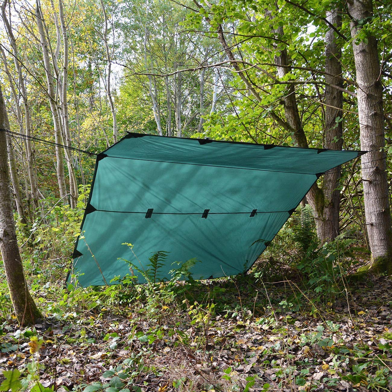 Amazon.com: DD Hammocks - DD Tarp 3x3 - Olive Green (10ft x  