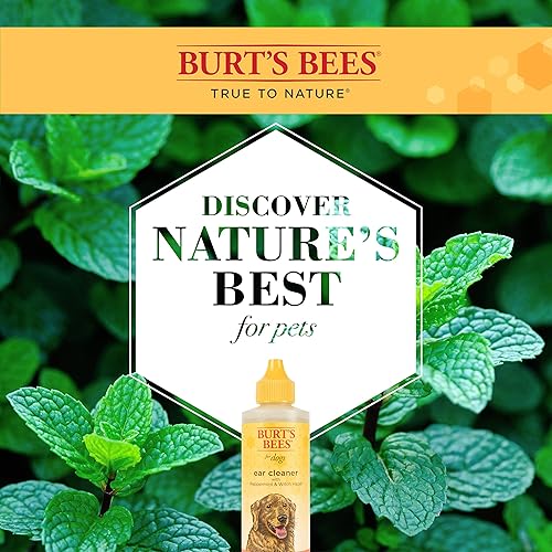 Miniatura 3 de Burts Bees for Dogs Natural Ear Cleaner with Peppermint and Witch Hazel  Effective  Gentle Dog Ear Cleaning Solution for All Dogs and Puppies  Made