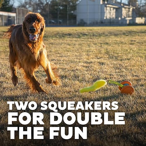 Miniatura 4 de Outward Hound Juguete de persecución de perro chirriante con cola peluda