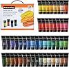 Acrylic Paint Set,48 x 22ml (0.74-oz) Tube Set,Highly Pigment Art Paints for Artists,Beginner to Pro,Ideal for Canvas,Wood,Fabric,Paper (48)