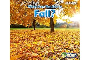 What Can You See in Fall? (Seasons) - Fall DVD 2022