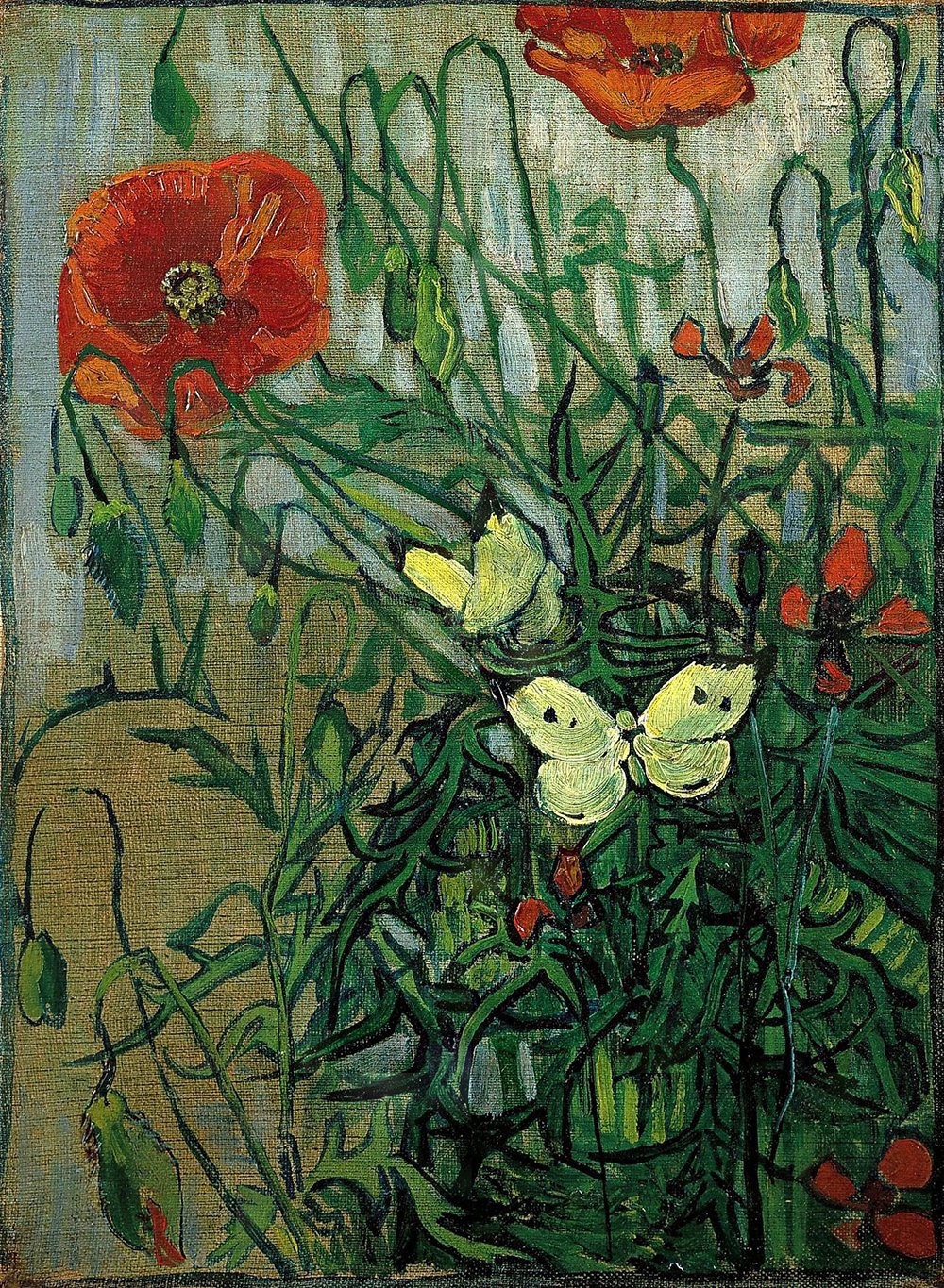 Cuadro de Van Gogh Mariposas y Amapolas, impresión artística de calidad museo con marco negro