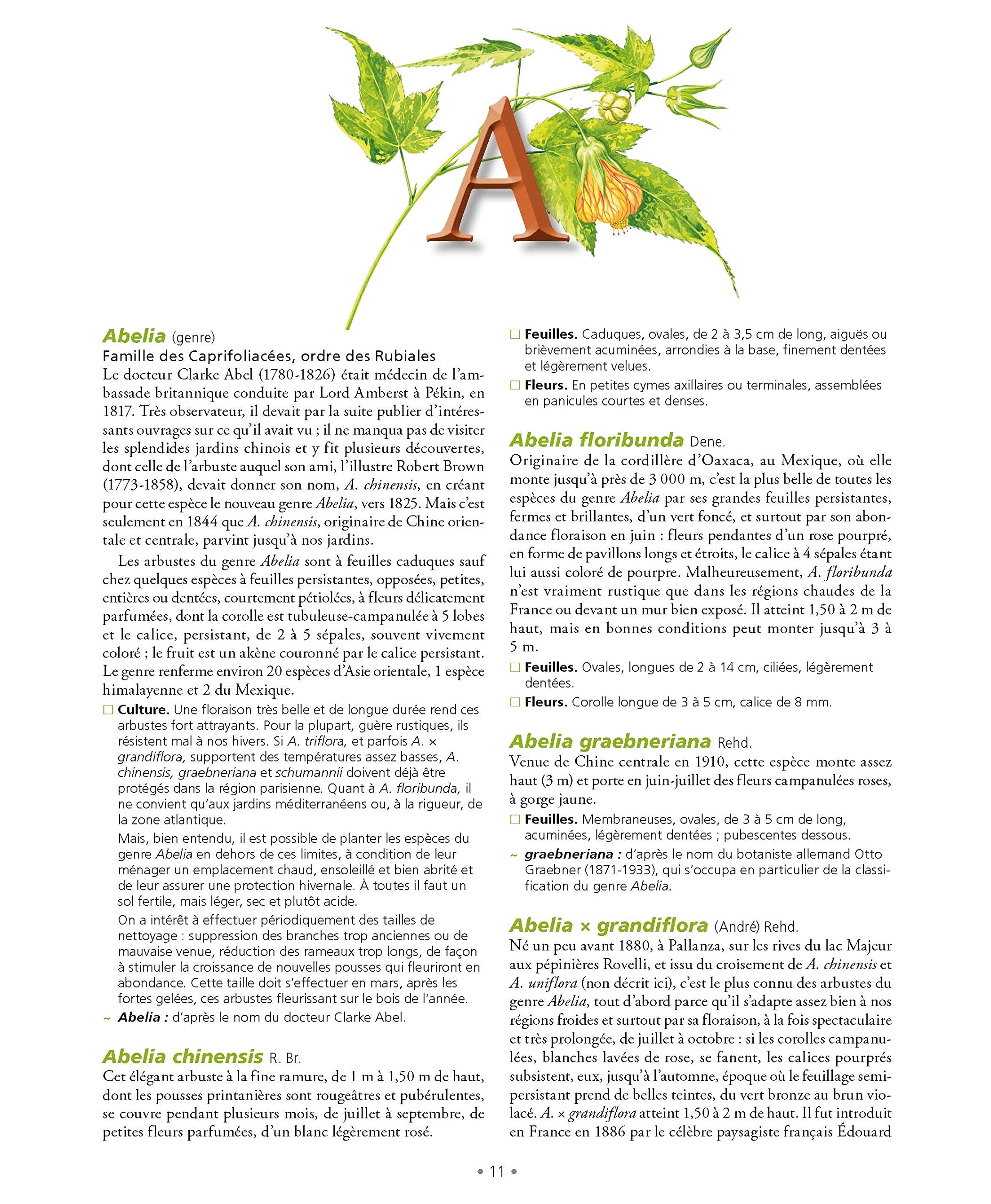 Le Grand Larousse des arbres