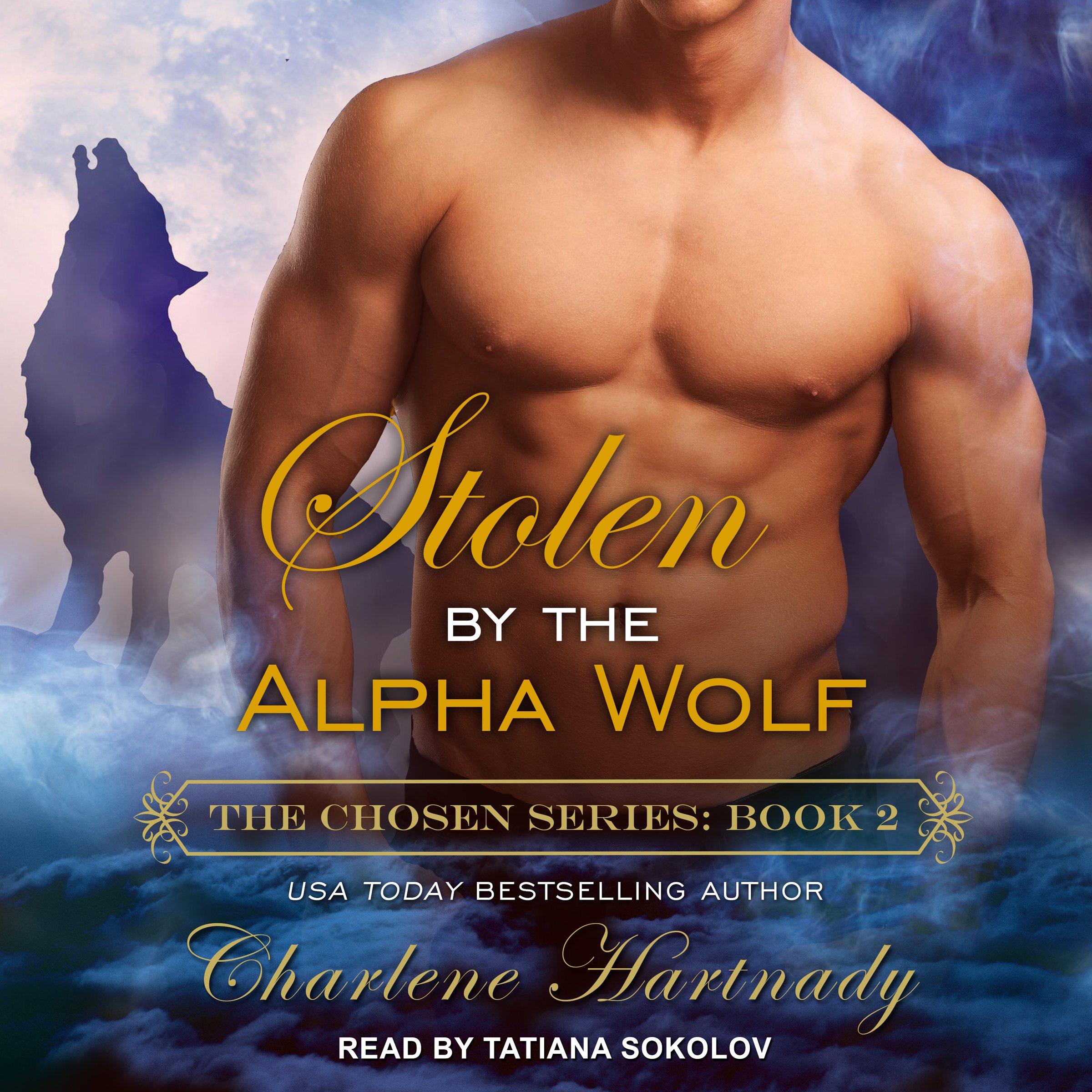 Cover art for Stolen by the Alpha Wolf