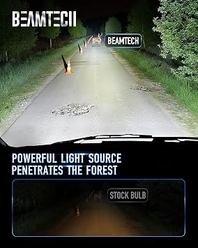 BEAMTECH H13/9008 Bulbs, 900% Brighter Canbus Ready 6500K White Light or Fog Light, 2 Bulbs.