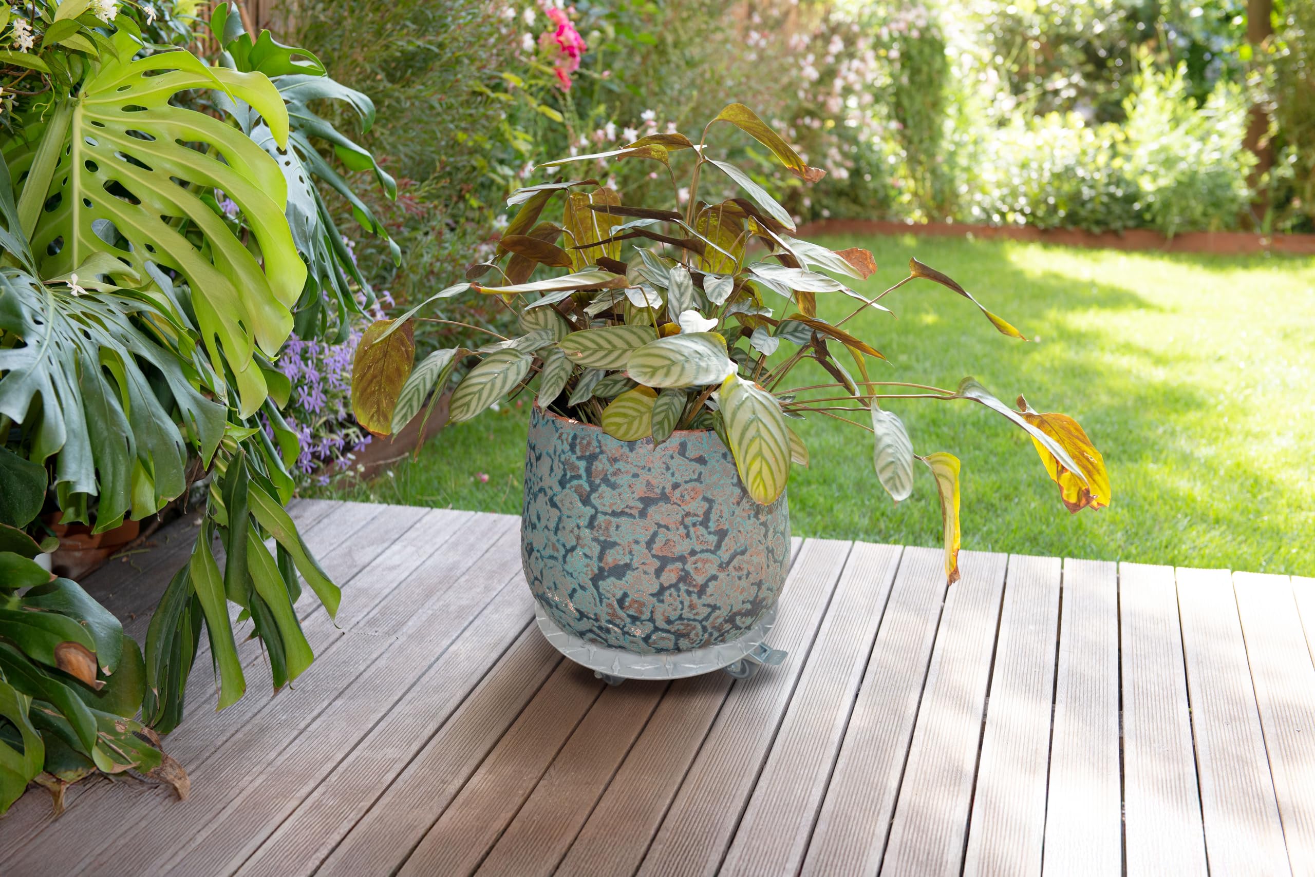 Louis Moulin Roule Plante Rond Aluminium - Support à Roulettes pour Pots de Fleurs - Diamètre 30 cm - Charge Lourde 130 kg - Usage Intérieur et Extérieur
