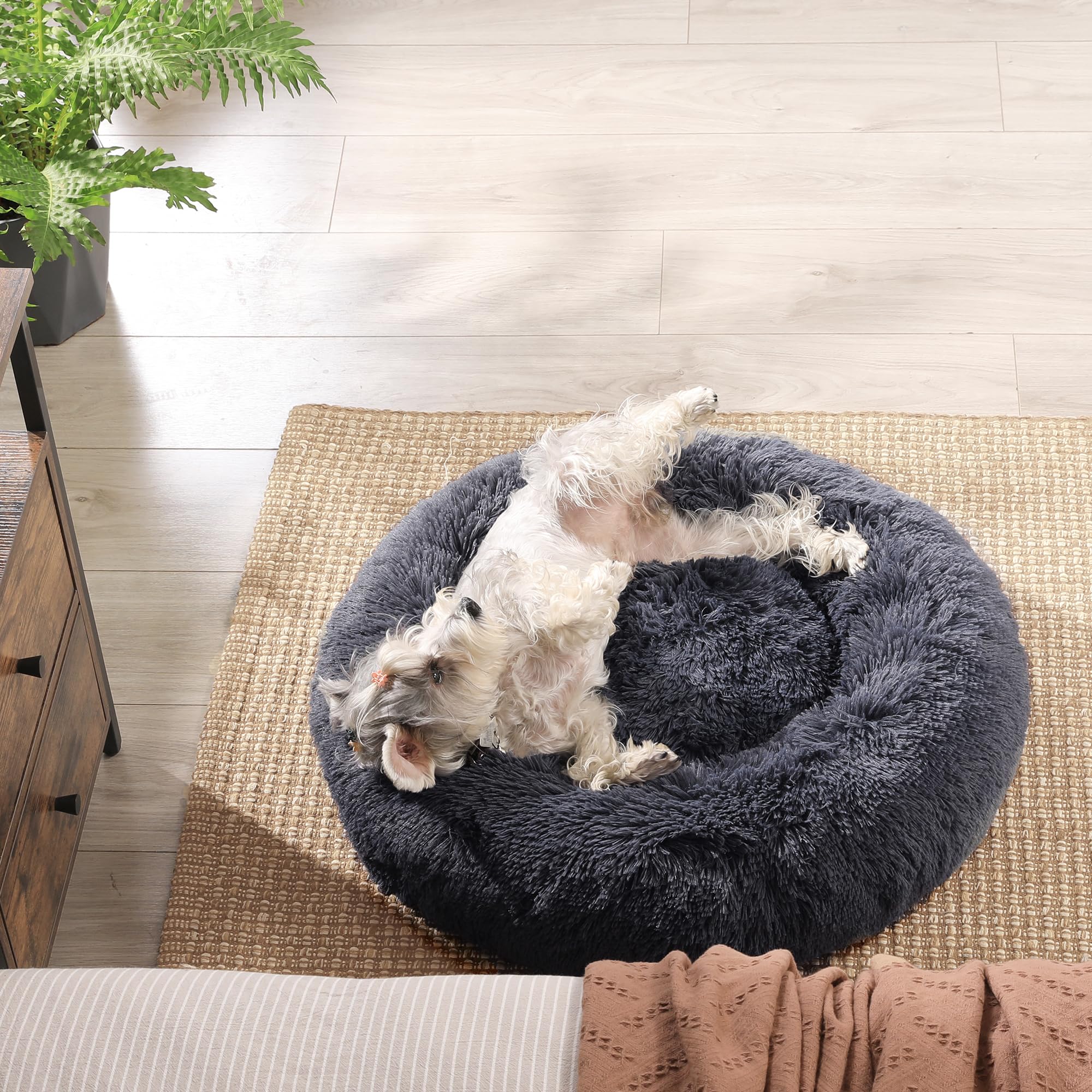 Feandrea Cuccia Cane Interno, Cuccia per Cani, Lettino per Animali Domestici a Ciambella, Cuscino Sfoderabile e Lavabile, Tappeto di Peluche, Diametro 70 cm, Grigio Scuro PGW039G02