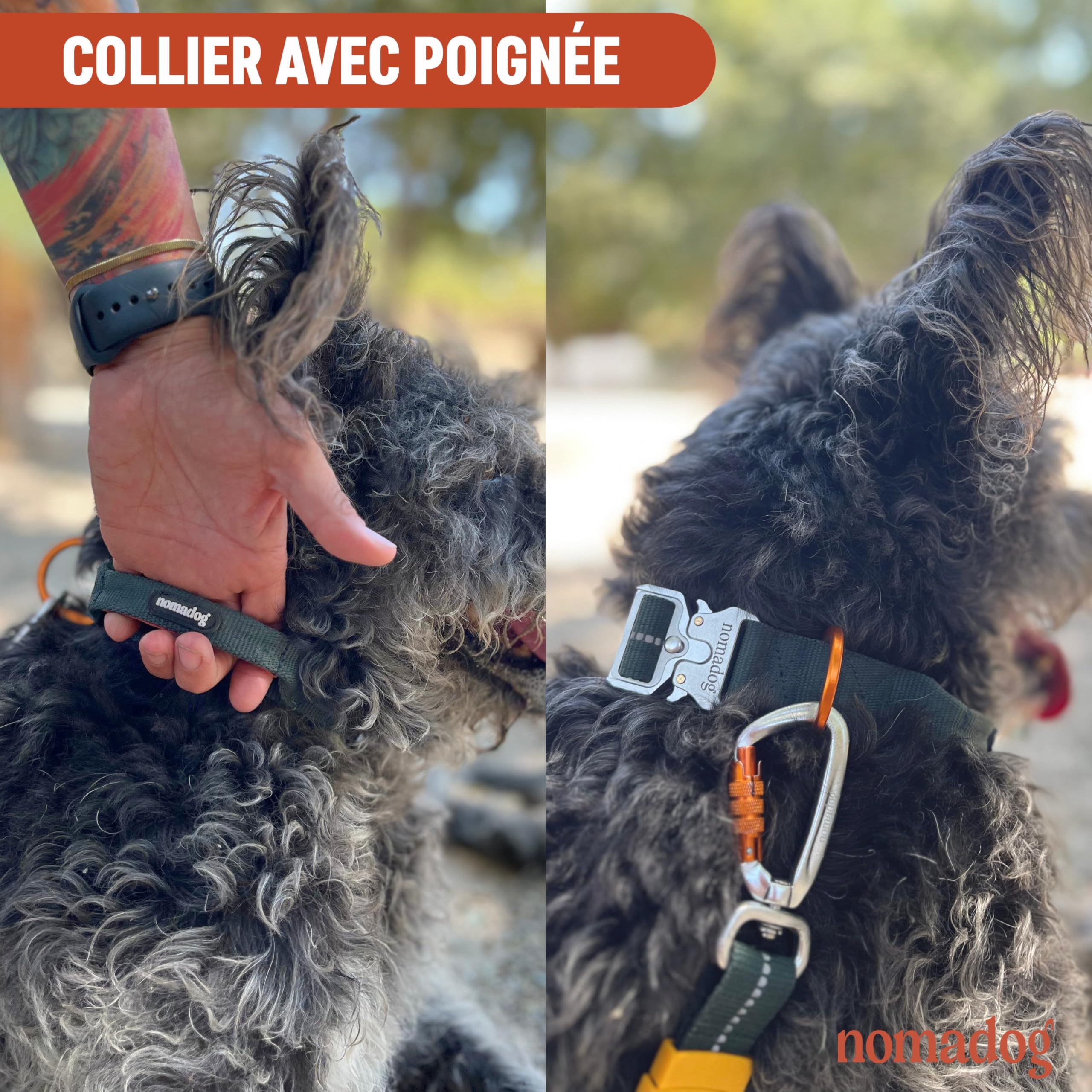 Nomadog Trailblazer Collier Chien avec Poignée pour Gros Chien - Durable, Réglable, Rembourré, Boucle en Aluminium Premium - Collier Tactique (XL)