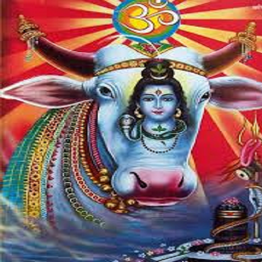 Pathigam Instrument Tamil Pathigam for Well Being - App on Amazon Appstore