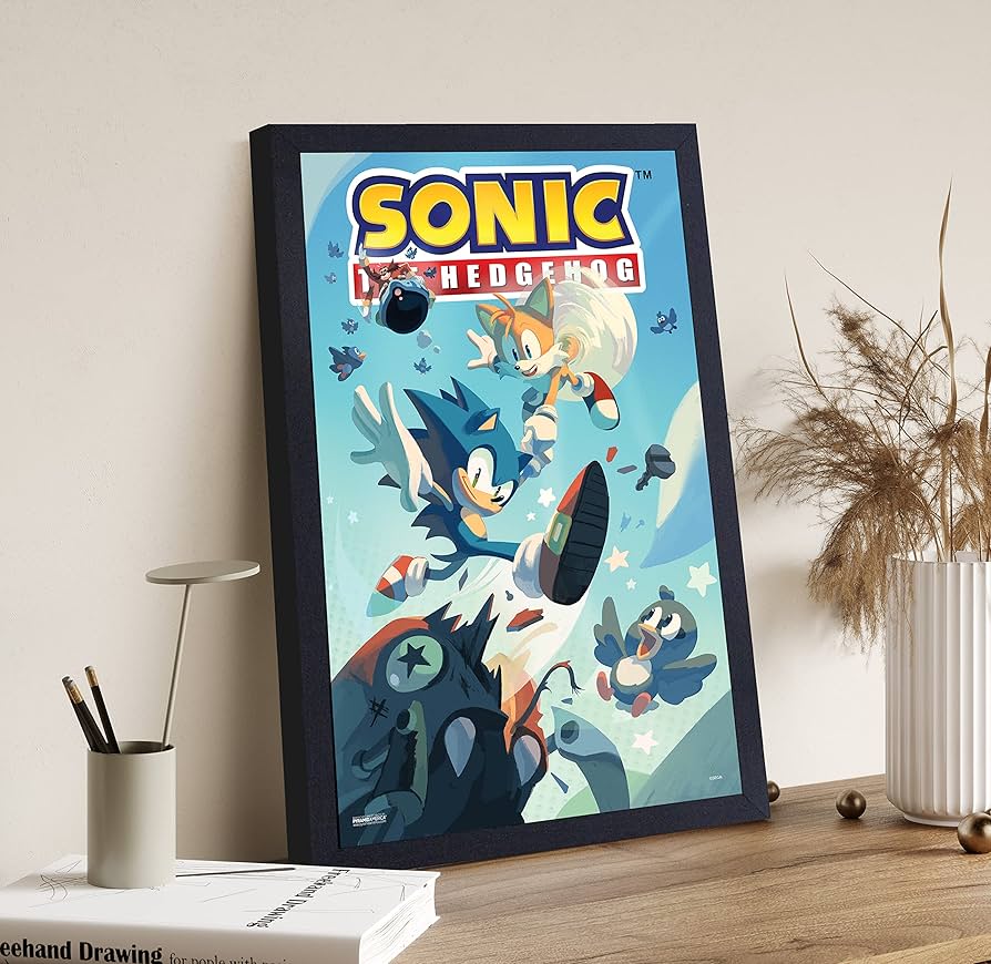Amazon.co.jp: ソニック・ザ・ヘッジホッグの飛ぶ鳥 額入り
