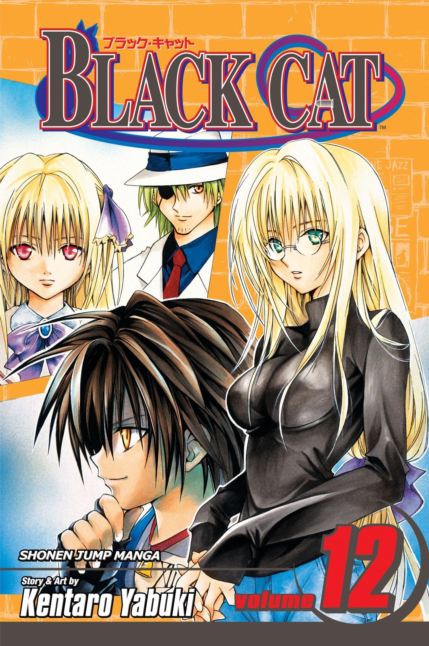 Black Cat, Vol. 12 Paperback – January 1, 2008