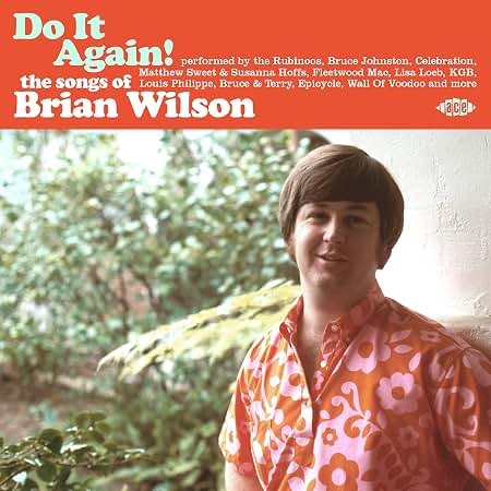 Amazon.com: Do It Again! The Songs Of Brian Wilson / Various