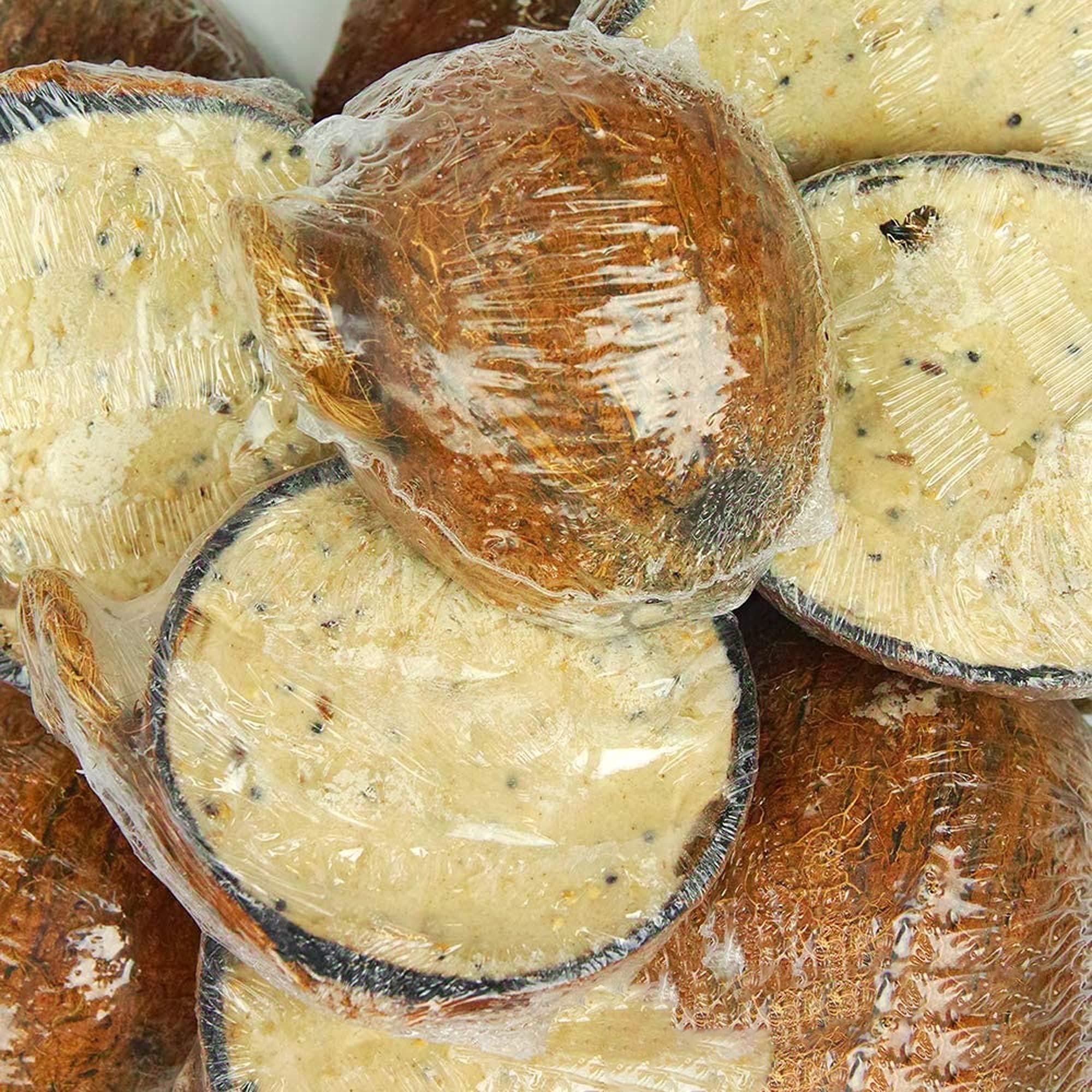 BusyBeaks Suet Filled Coconut Halves Premium Wild Bird Food ProteinRich, High Energy Feed