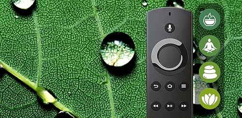 Som da Floresta de Chuva & Natureza: Som Relaxante da Chuva para Dormir e Meditar, Estudo, Sons da F