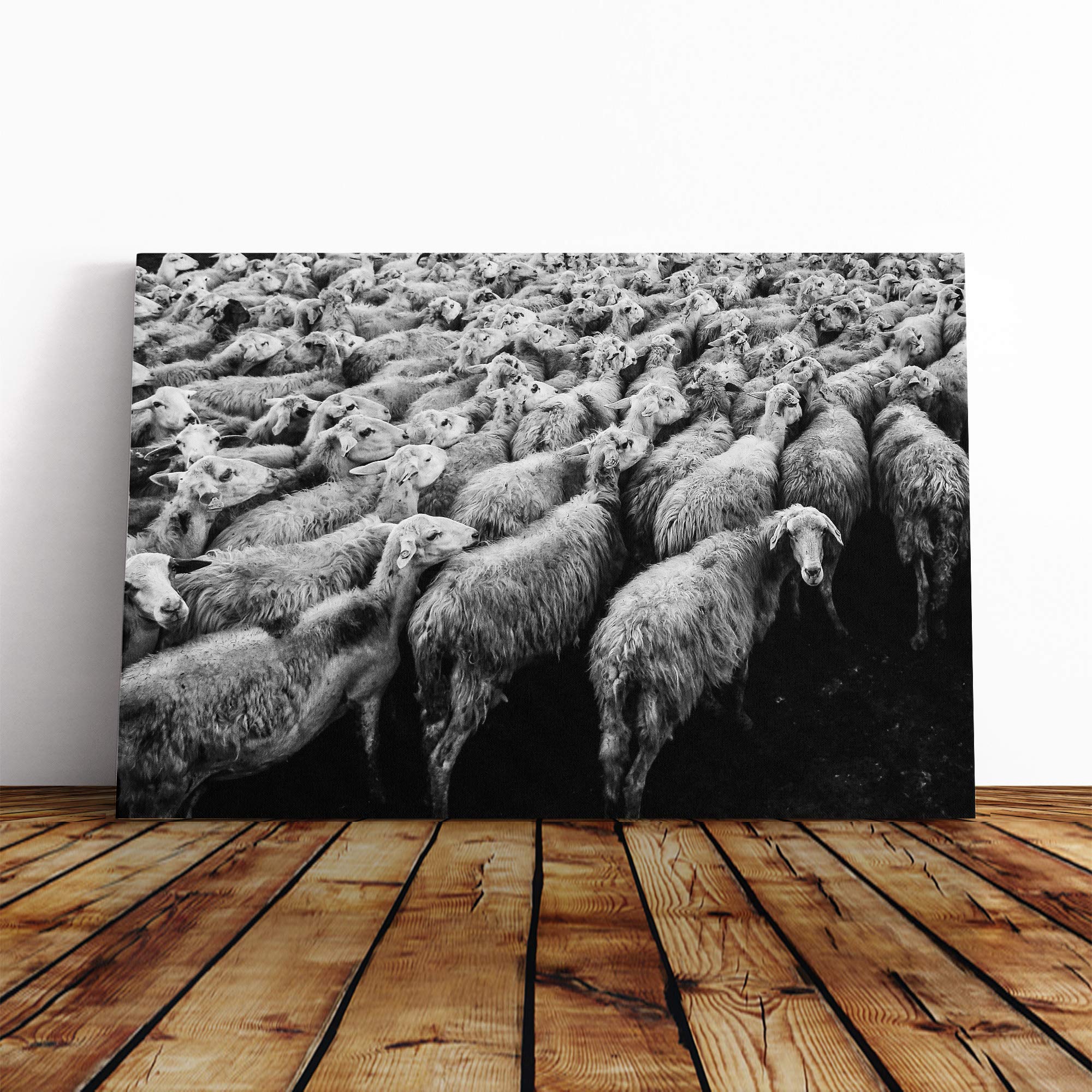 Flock of Sheep (2) Canvas Print | Gallery Wrapped 30mm Frame Wall Art | 30x20 inches | Ready to Hang | Modern Animals Picture | Living Room Bedroom Lounge Office