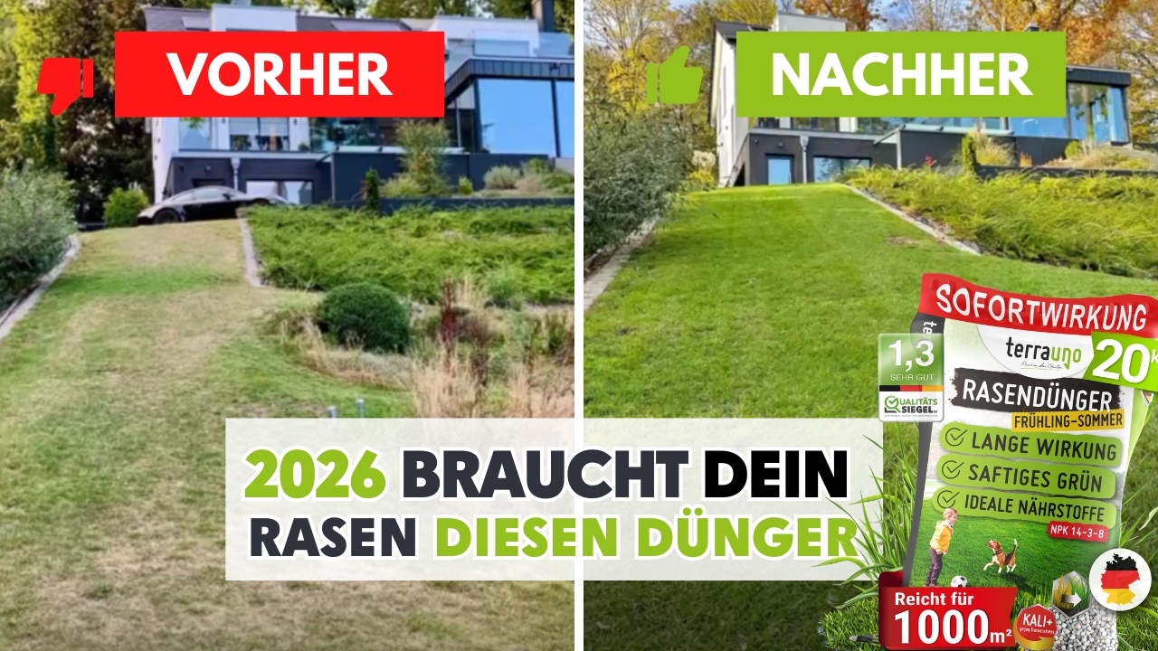 TerraUno Rasendnger Frhjahr/Sommer NPK