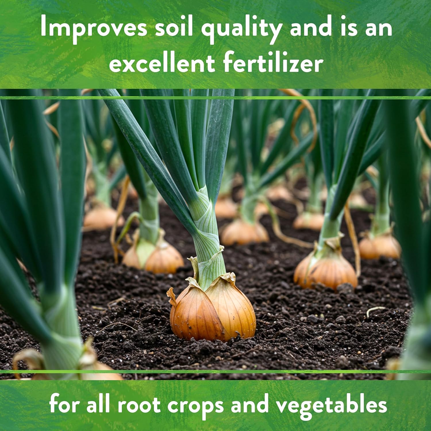 Down To Earth All Natural Fertilizers Organic Neem Seed Meal, Plant Food for Vegetable Gardens and Raised Beds 6-1-2, 5 lb