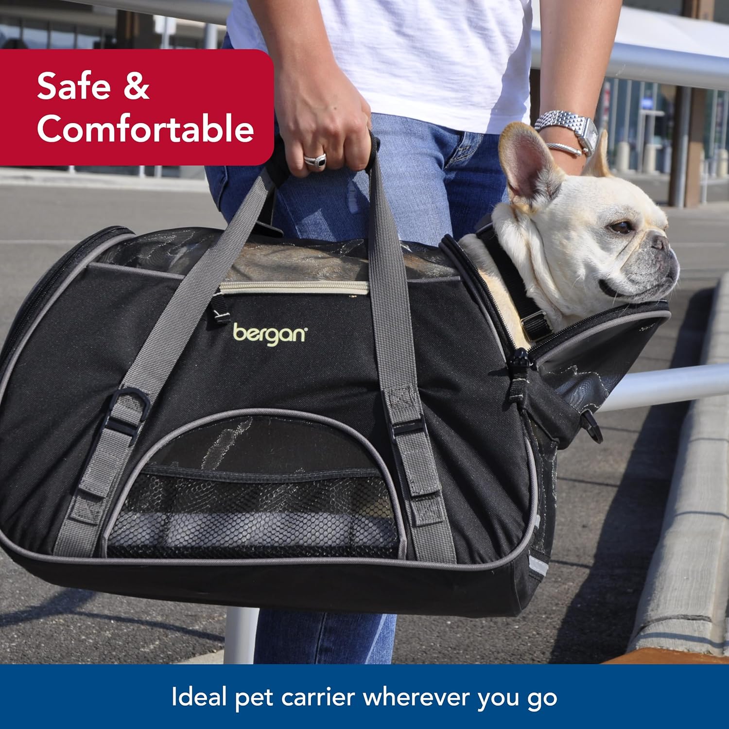 Travel in Style: Review of the Coastal Pet Bergan Comfort Carrier for Pets