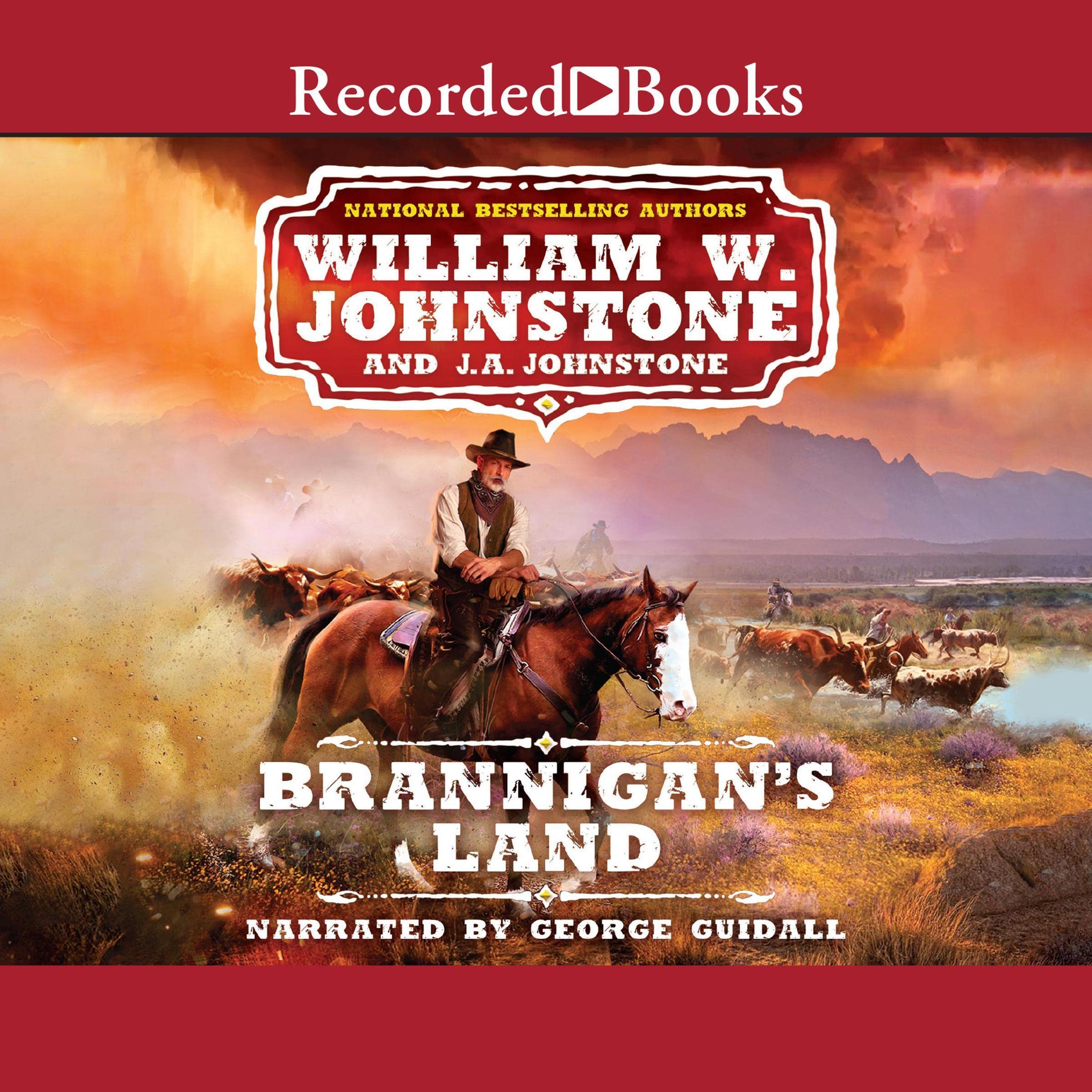 Cover art for Brannigan's Land
