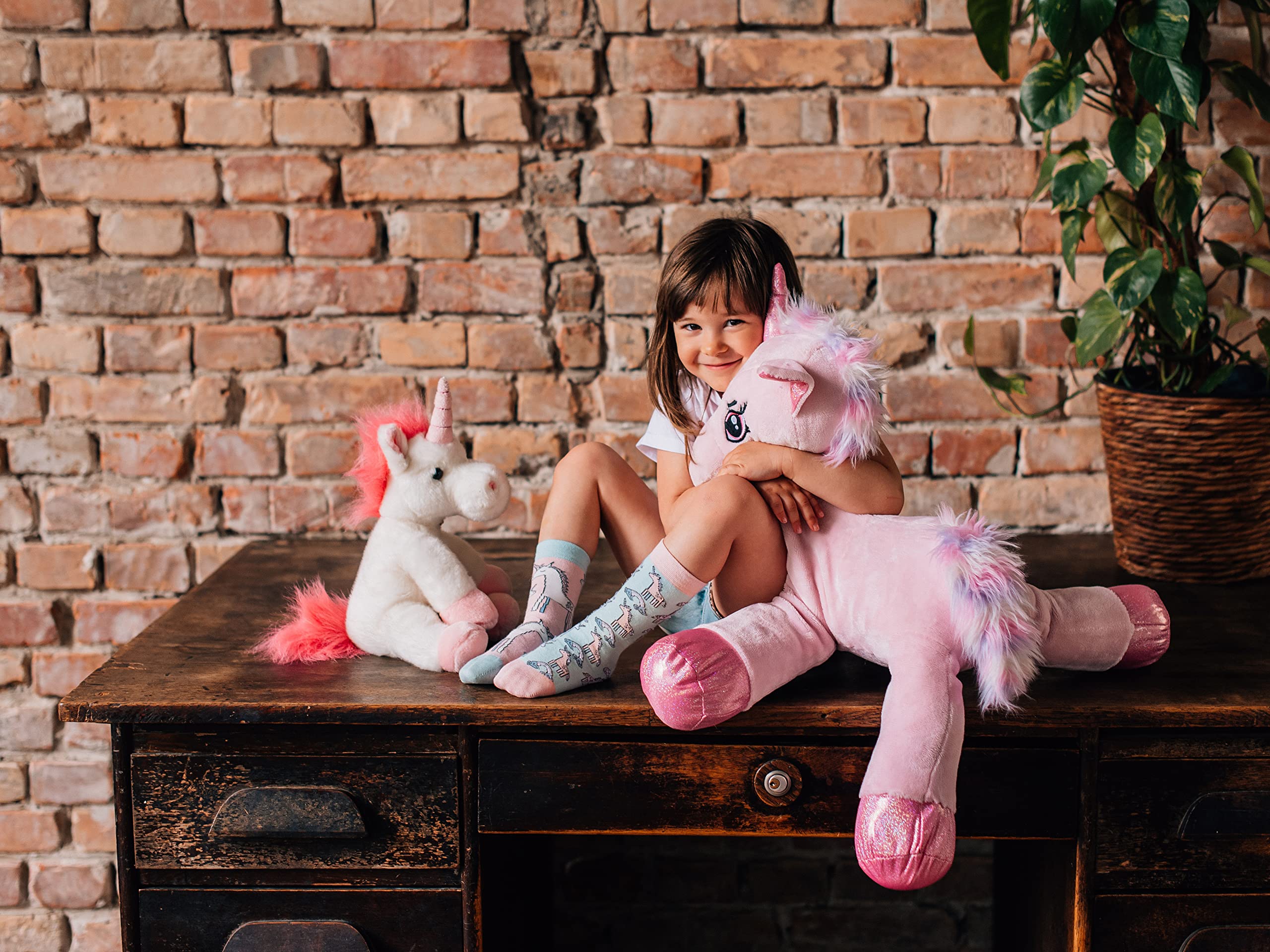 Dedoles Calzini Unisex Donna Uomo & Bambini Calze Cotone con tanti Design divertenti Calcio Bicicletta Piante Cavalli Regalo sinistra destra diversi