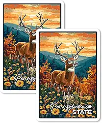 Ímã do Estado da Pensilvânia 10 cm, 2 unidades, vinil, para lembrança, presente, geladeira, geladeira, lava-louças, ID 44999