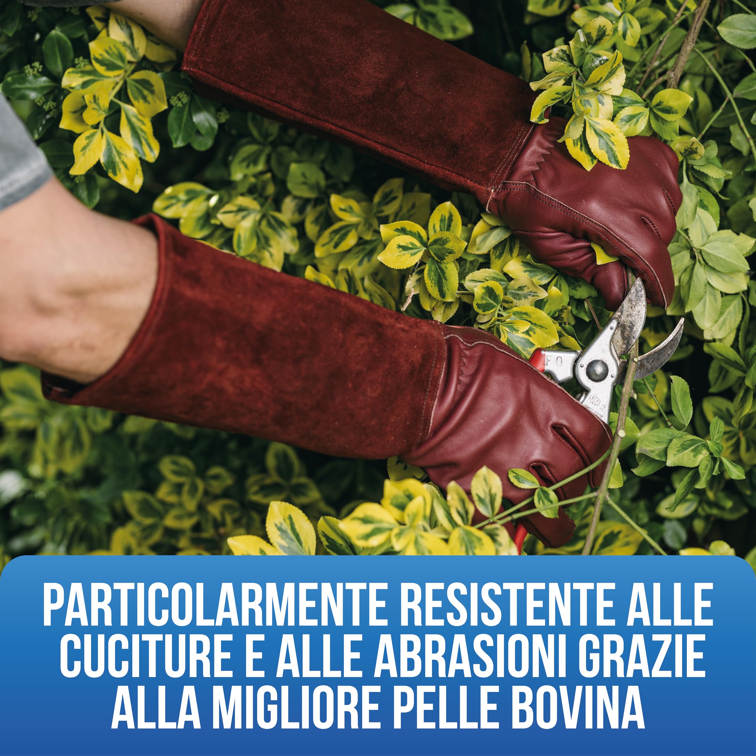 LAUTER SCHUTZ ® Guanti in pelle bovina RESISTENTI ALLE SPINE - Con cucitura posteriore per libertà di movimento e comfort (M, Bianco)