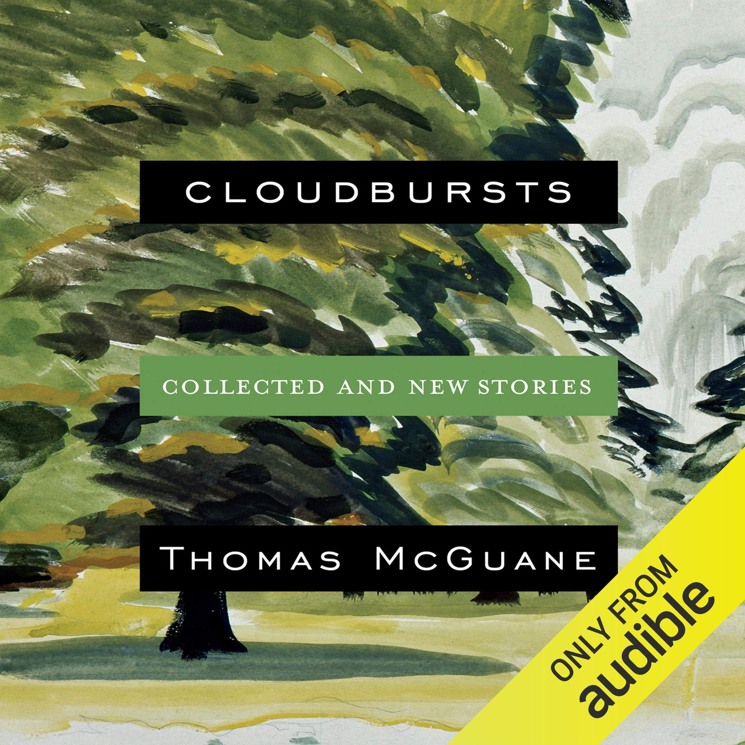 Cover art for Cloudbursts