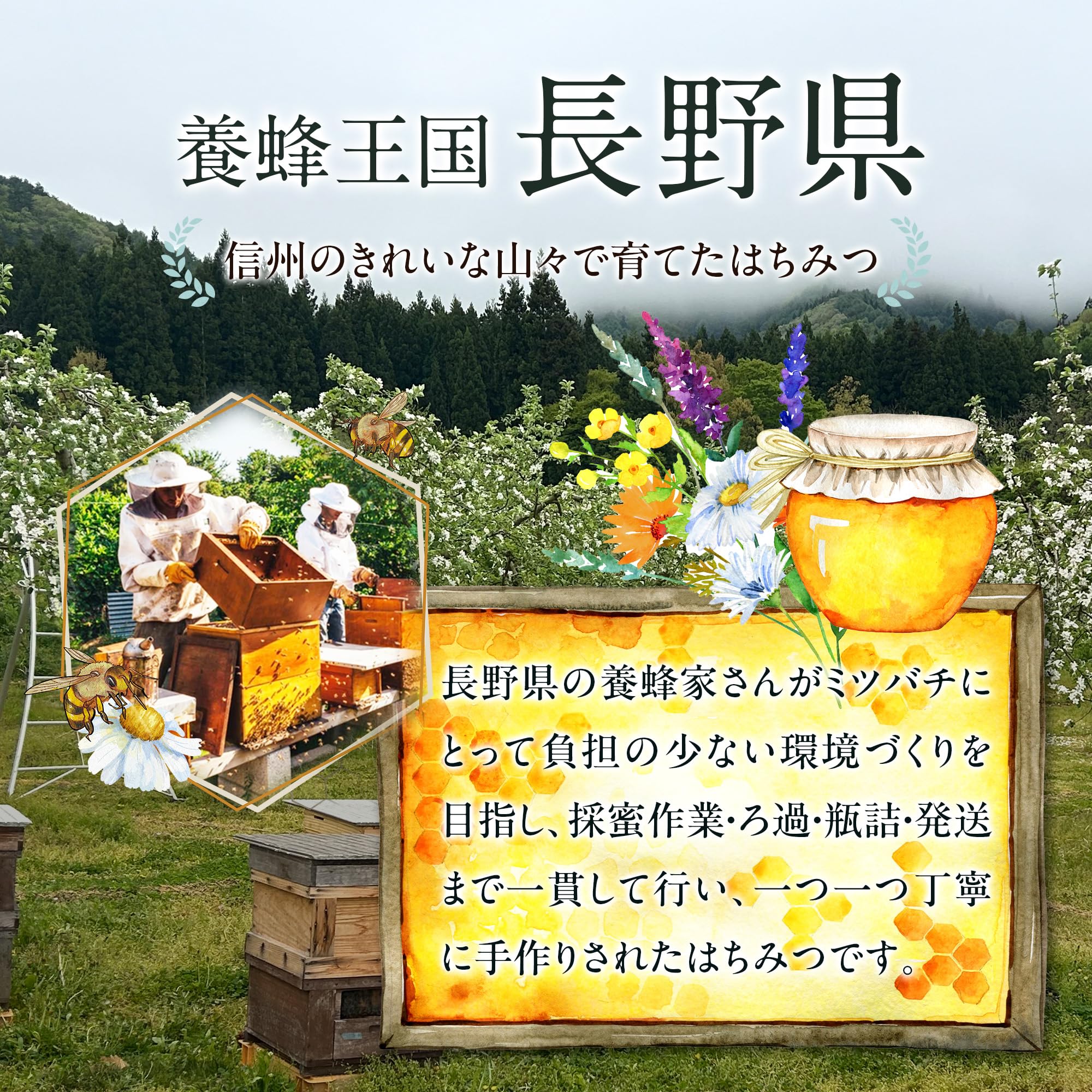 Amazon.co.jp: はちみつ ハチミツ 百花 国産 非加熱 訳アリ 純粋 無