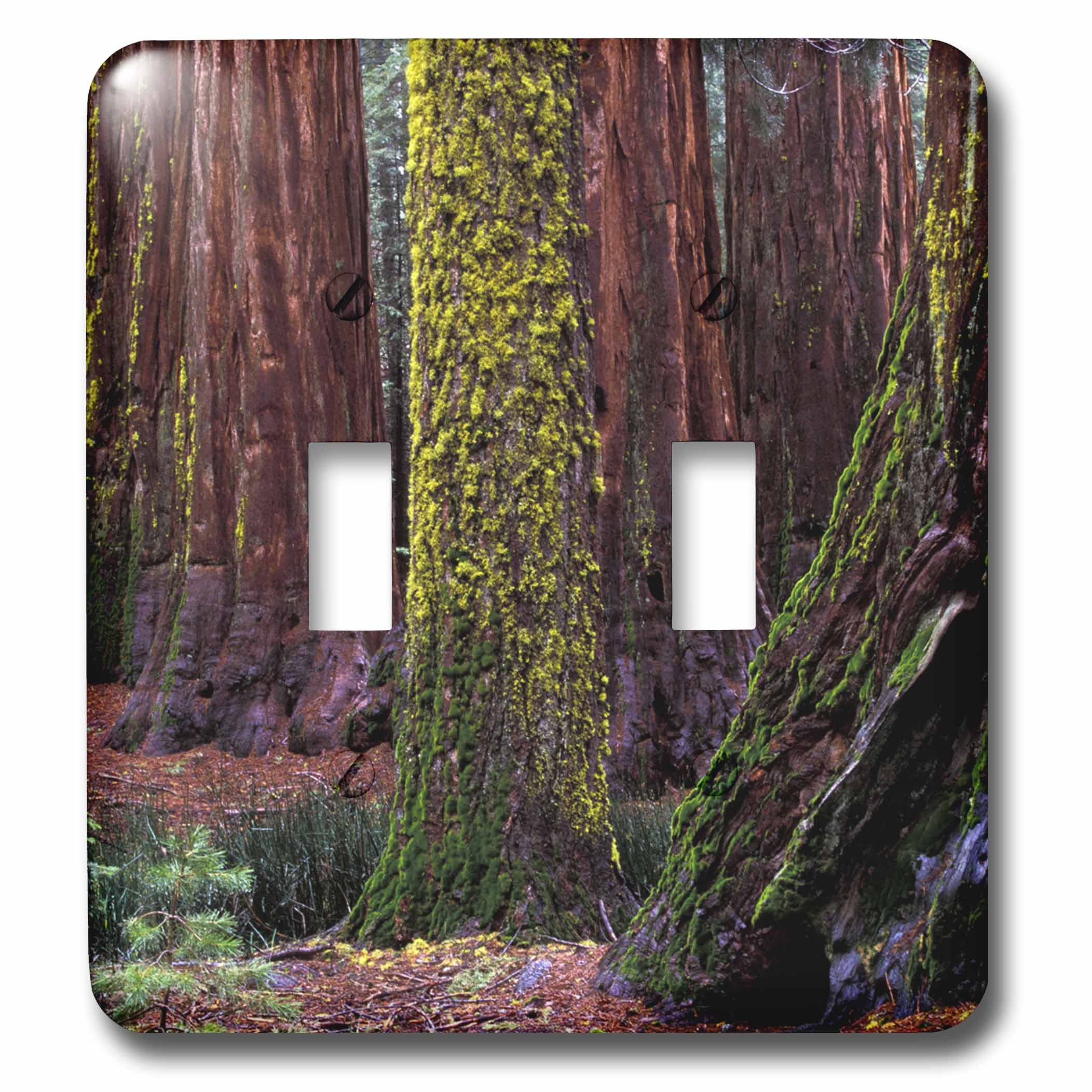 Double interrupteur Yosemite California 3dRose finition artistique Gavriel Jecan