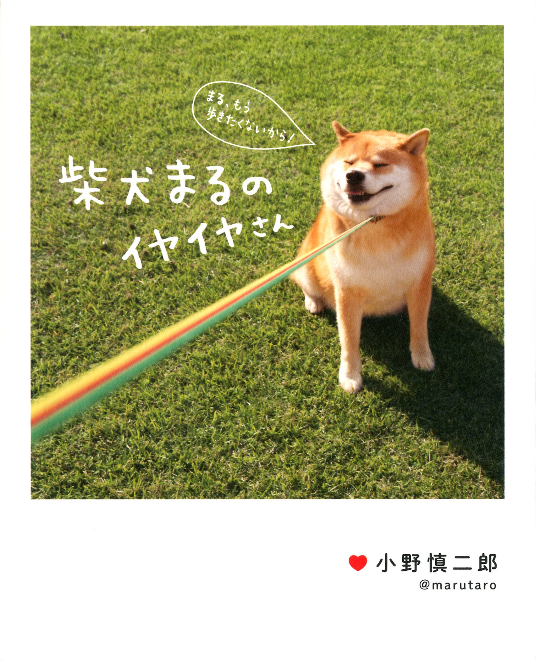 柴犬まるのイヤイヤさん 小野 慎二郎 本 通販 Amazon 柴犬まるのイヤイヤさん 小野 慎二郎 本 通販 Amazon