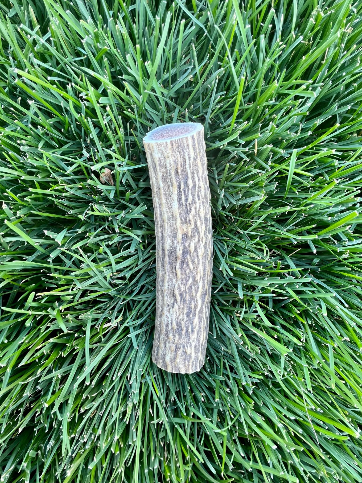 Good TroublePets Premium Elk Antlers for Medium Dogs - All-Natural, Shed Antler Chews for Dental Health & Calming - Durable Dog Bones for Aggressive Chewers - Cruelty-Free, North American Sourced